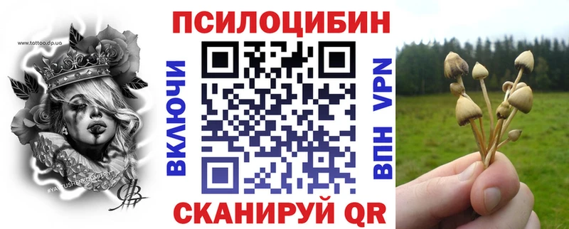 Купить  Менделеевск  Псилоцибиновые грибы Cubensis 